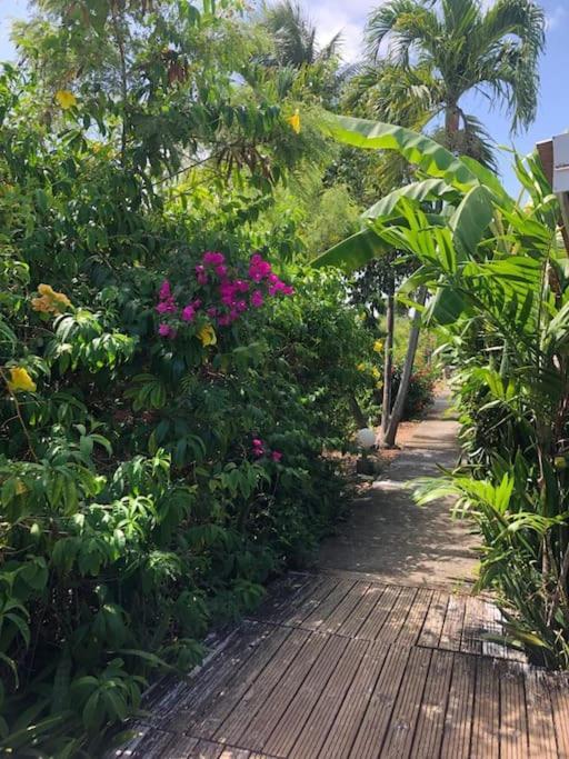 Secteur Prise, Bungalow Corail, Residence Casa Boubou Sainte-Anne  Luaran gambar