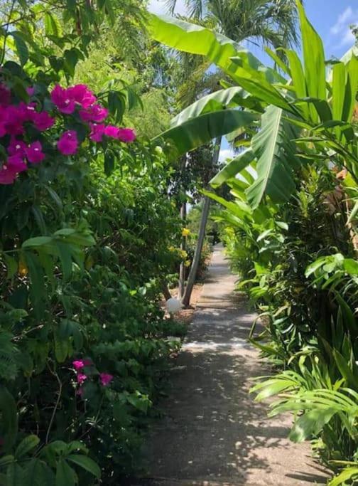 Secteur Prise, Bungalow Corail, Residence Casa Boubou Sainte-Anne  Luaran gambar