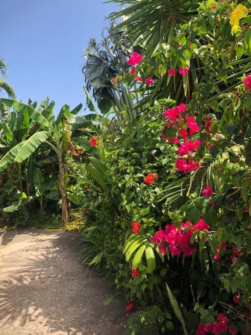 Secteur Prise, Bungalow Corail, Residence Casa Boubou Sainte-Anne  Luaran gambar